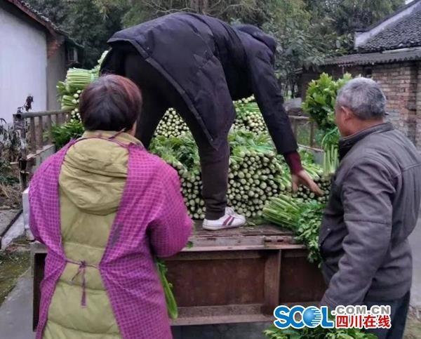 中国·9091美高梅(股份)有限公司-官方网站