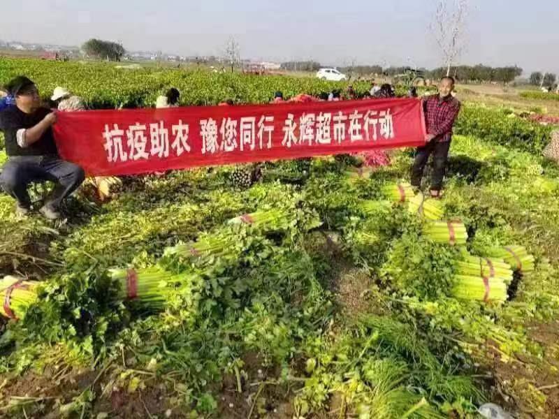 中国·9091美高梅(股份)有限公司-官方网站
